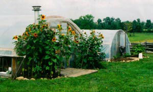 Greenhouses