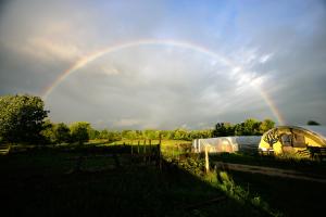 rainbow over farm
